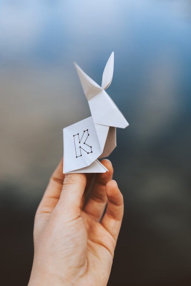 Tư Vấn DNL