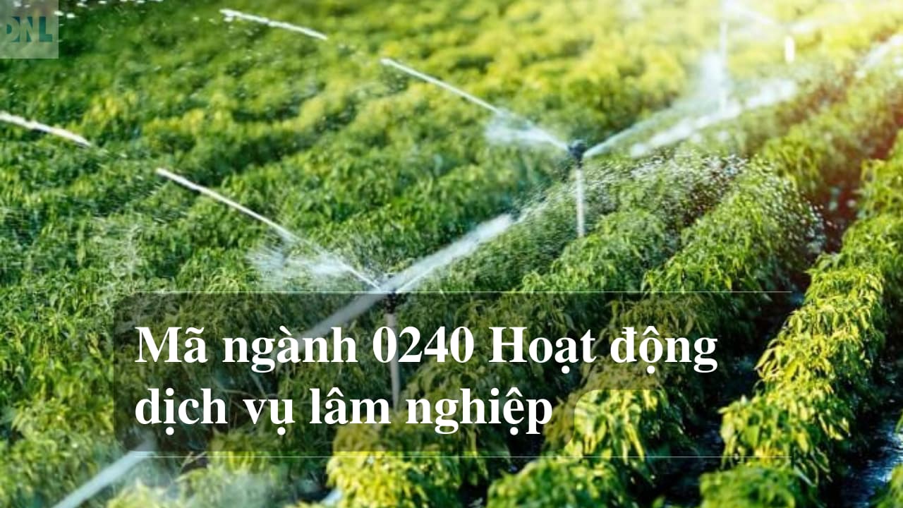 Mã ngành 0240 Hoạt động dịch vụ lâm nghiệp