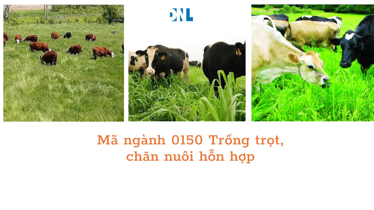 Mã ngành 0150 Trồng trọt, chăn nuôi hỗn hợp