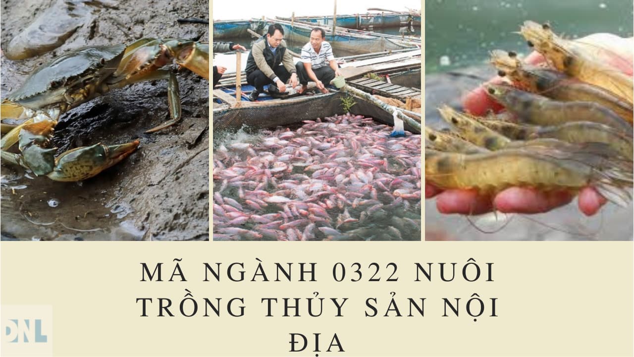 Mã ngành 0322 Nuôi trồng thủy sản nội địa