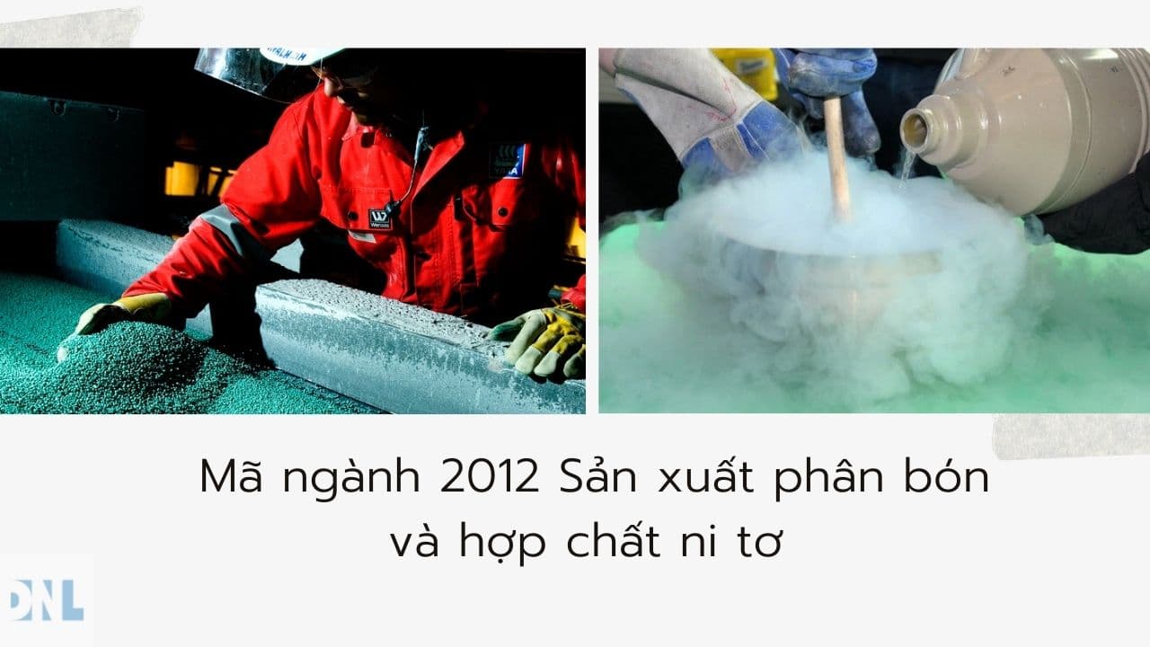 Mã ngành 2012 Sản xuất phân bón và hợp chất ni tơ