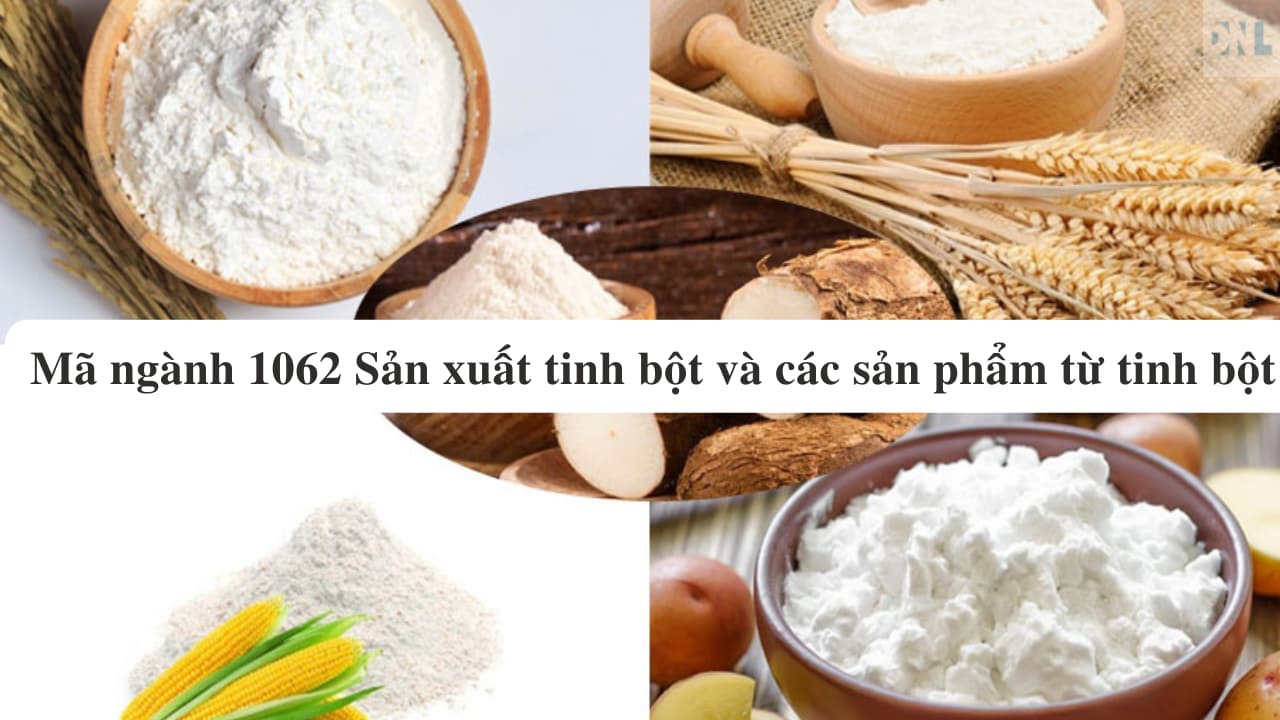 Mã ngành 1062 Sản xuất tinh bột và các sản phẩm từ tinh bột