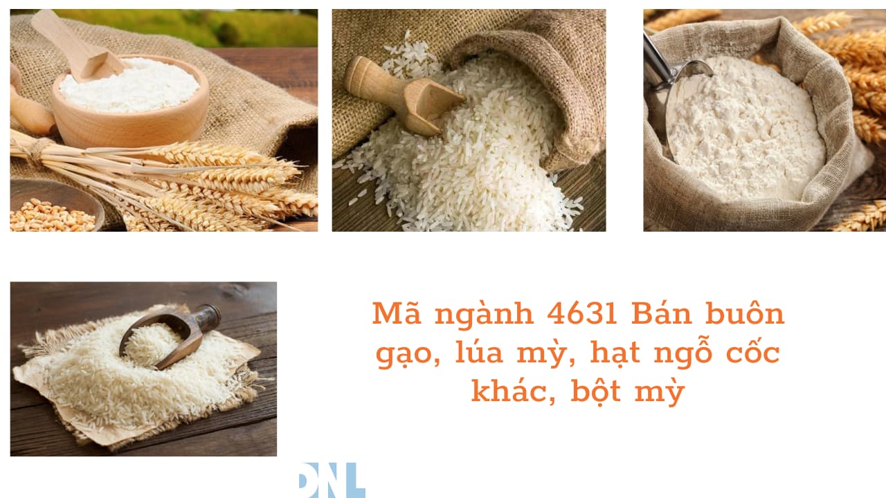 Mã ngành 4631 Bán buôn gạo, lúa mỳ, hạt ngỗ cốc khác, bột mỳ