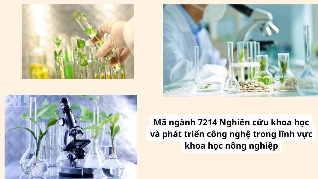 Mã ngành 7214 Nghiên cứu khoa học và phát triển công nghệ trong lĩnh vực khoa học nông nghiệpMã ngành 7214 Nghiên cứu khoa học và phát triển công nghệ trong lĩnh vực khoa học nông nghiệp