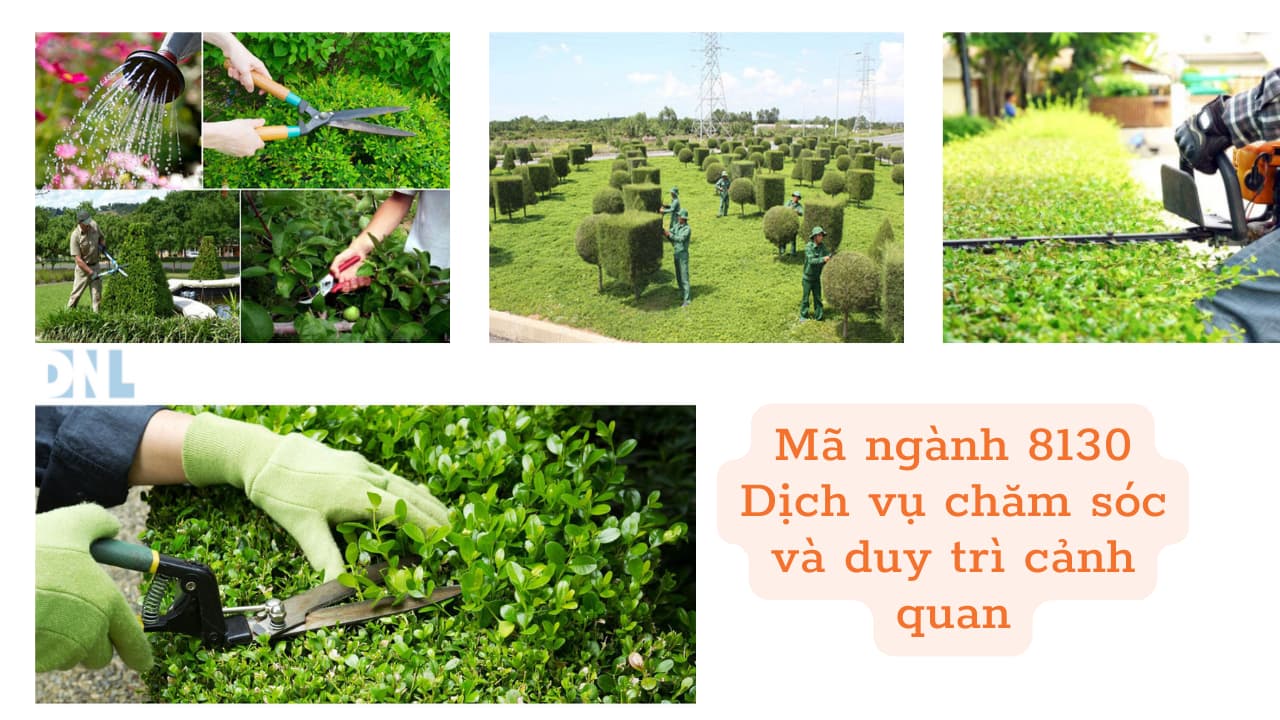 Mã ngành 8130 Dịch vụ chăm sóc và duy trì cảnh quan