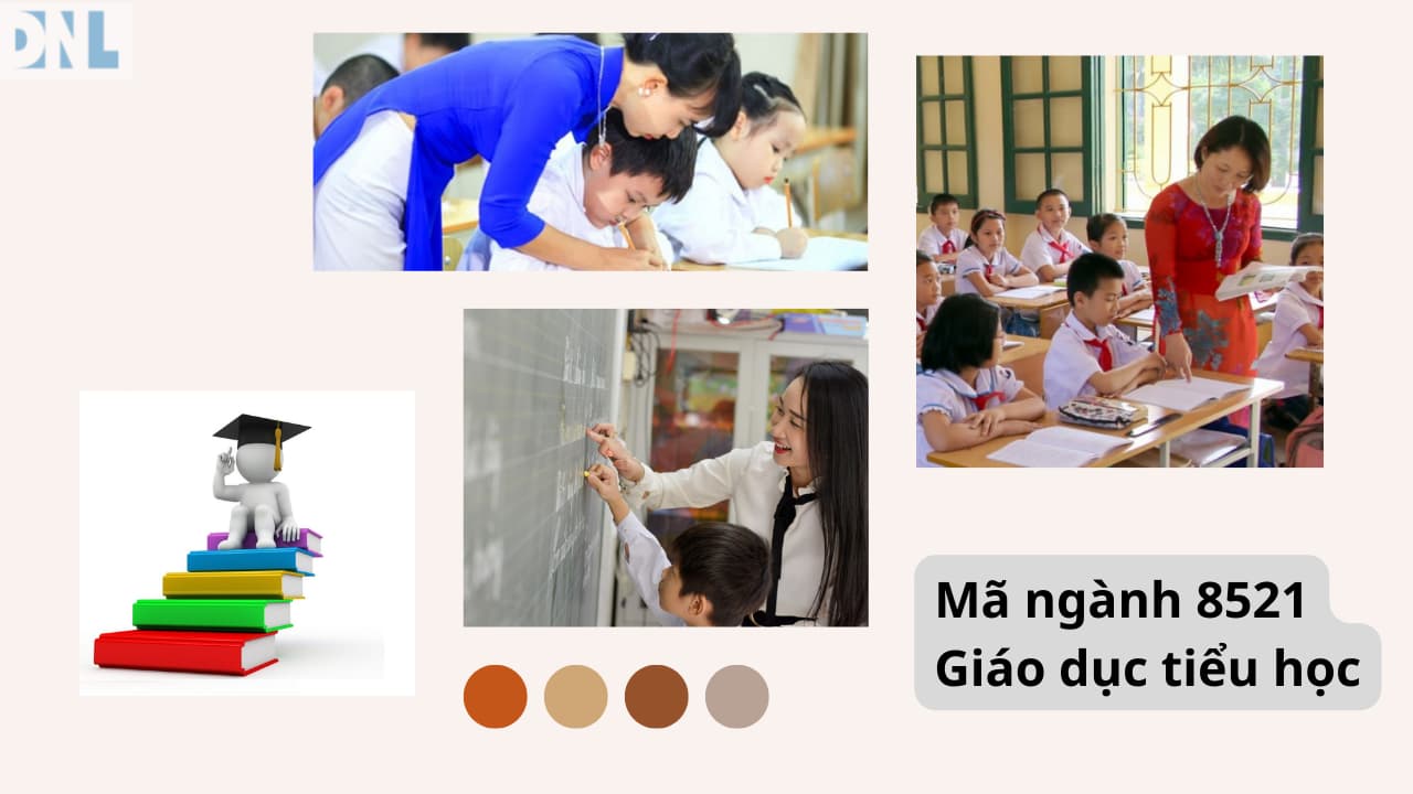 Mã ngành 8521 Giáo dục tiểu học
