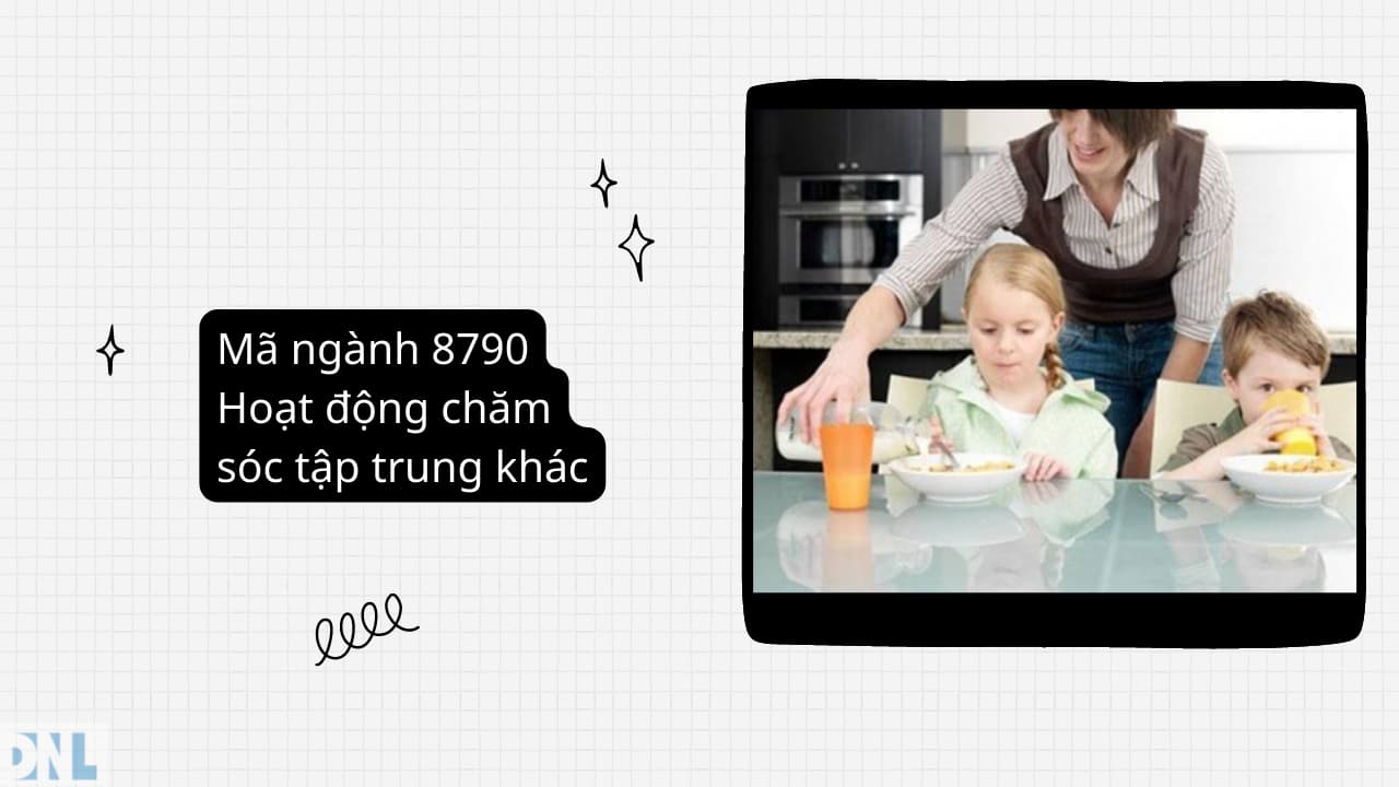 Mã ngành 8790 Hoạt động chăm sóc tập trung khác