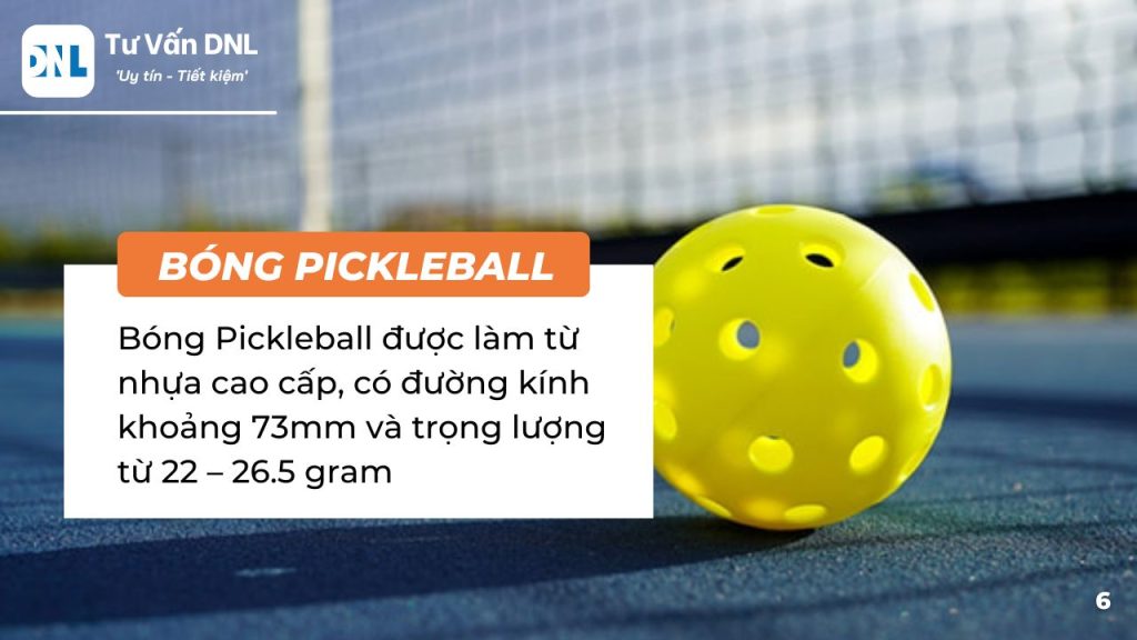 Đăng ký kinh doanh Pickleball 4 Bóng Pickleball